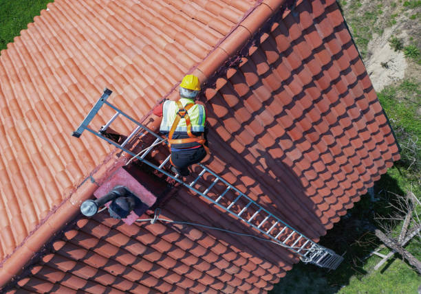 Best Asphalt Shingle Roofing  in Holden Heights, FL